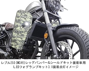Amazon | SP武川(TAKEGAWA) LEDフォグランプキット3.0(950) SP